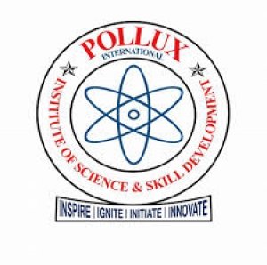 POLLUX INTERNATIONAL INSTITUTE